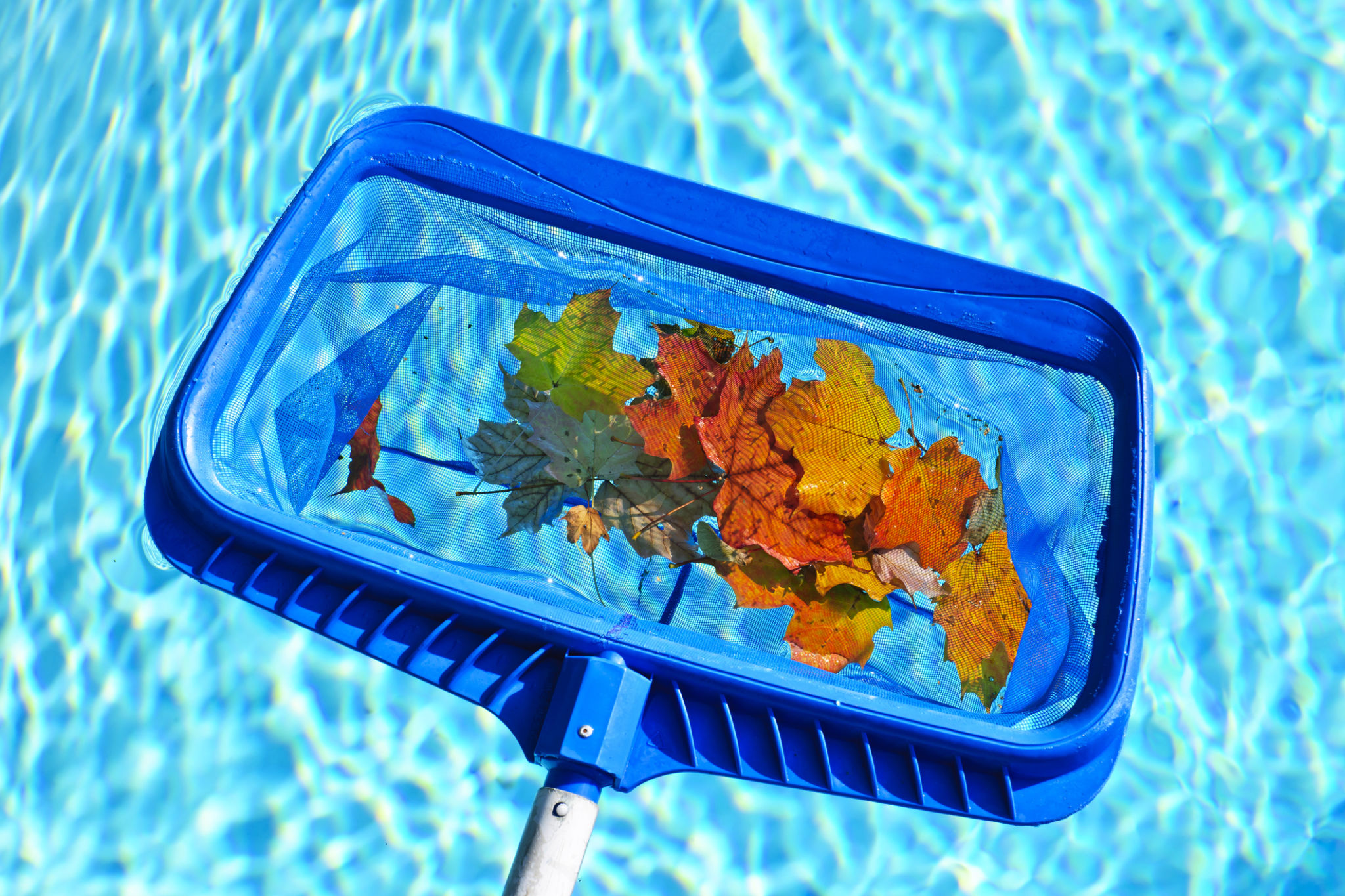 3 Pool Tips to Ready the Pool for Fall and Winter Pool Equipment & Supply